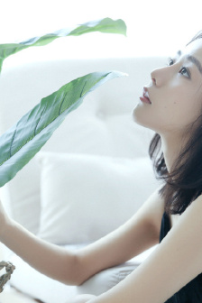 与女乱目录伦7